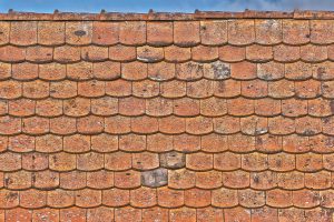 De gevolgen van achterstallig dakonderhoud: waterschade, schimmel en structurele problemen aan het dak
